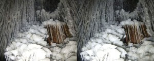 DSCF6762