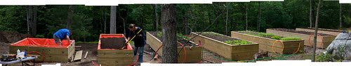 Garden Project: 6-14-07 panorama