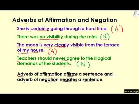 affirmation adverbs negation exercises