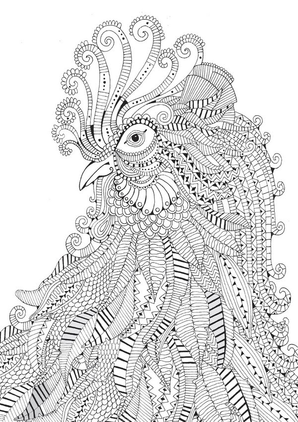 すべての動物の画像 75 塗り絵 動物 大人