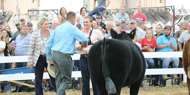 Registration open for Ohio State Fair junior livestock projects - Ohio