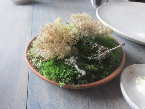 Noma - Copenhagen - August 2012 - Sauteed Raindeer Moss with Mushroom Powder