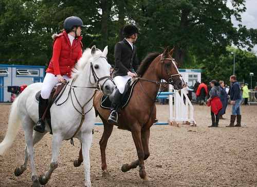 Showjumping