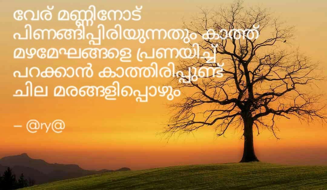 Sunset Malayalam Qutes / 30 Inspiring Travel Quotes That Will Make You