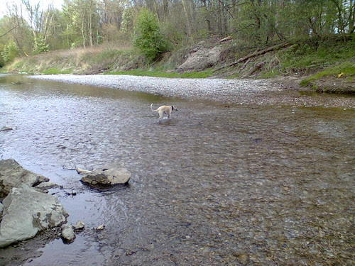 Foto0101