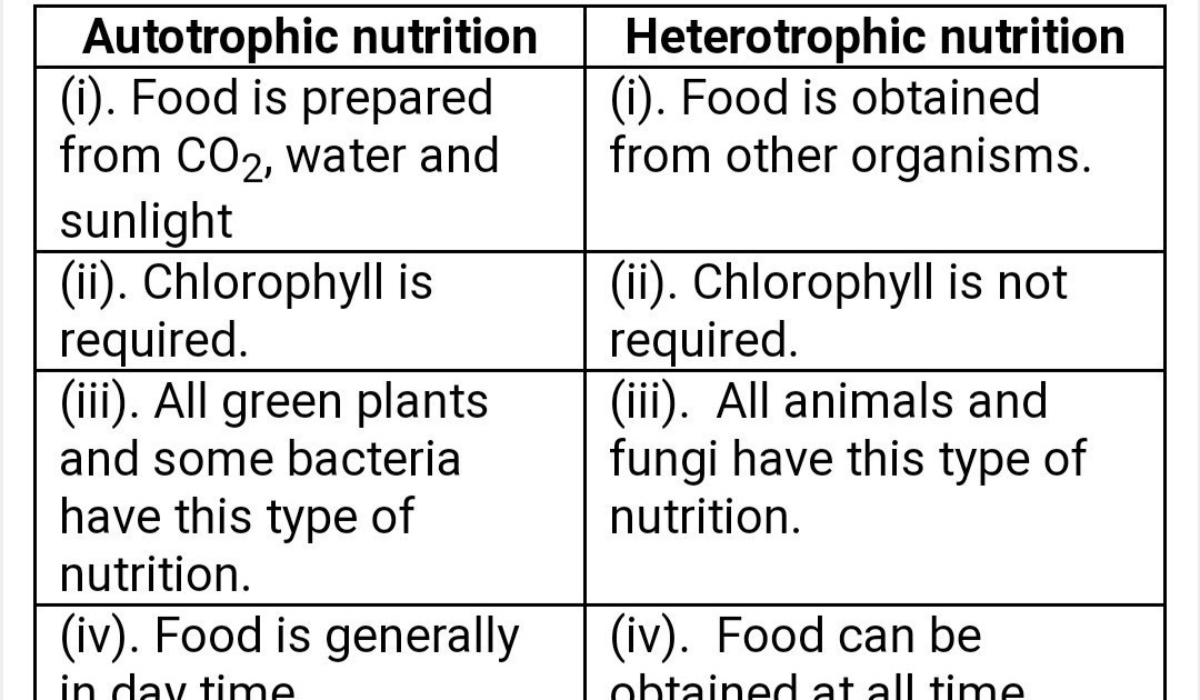 What Are Autotrophic And Heterotrophic Nutrition Nutrition Pics