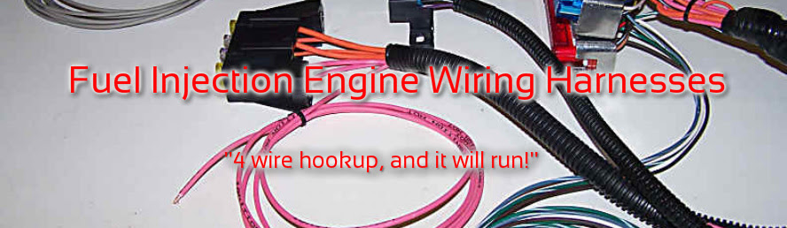 Lt1 Wiring Harness Stand Alone - Wiring Diagram Schemas