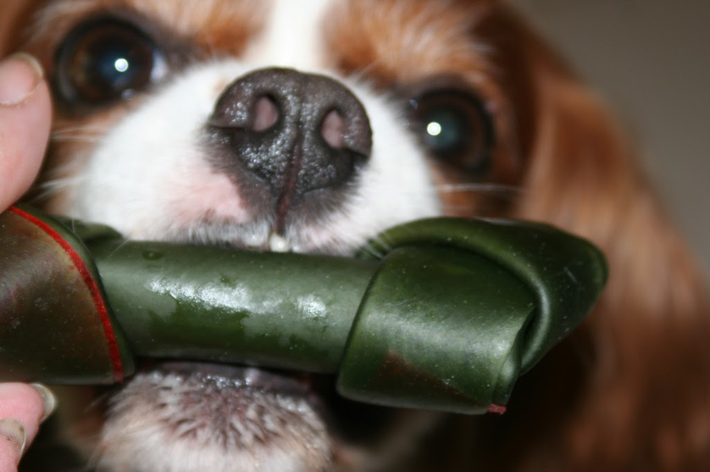 Davinia getting her bone Davinia getting her bone
