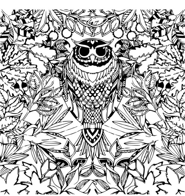 Cahier De Coloriage Adulte  30000 ++ collections de pages à colorier