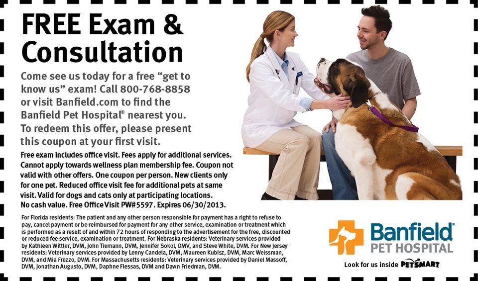 Pet Vet Clinic Coupon The W Guide