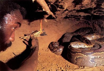 How_to_catch_Anaconda_4 How_to_catch_Anaconda_4