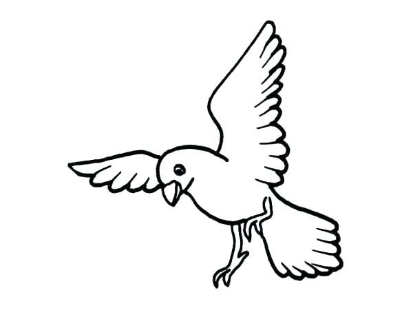 30+ Trends Ideas Flying Bird Drawing For Kids | Inter Venus