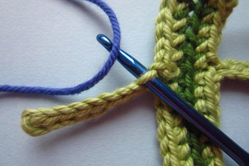 IMG_3295 IMG_3295