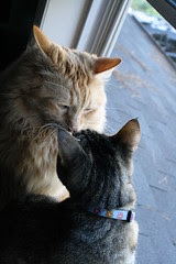 Jasper and Maggie discussing what's outside