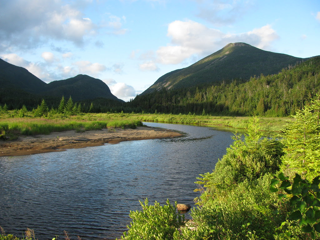 livingston point on flowed lands