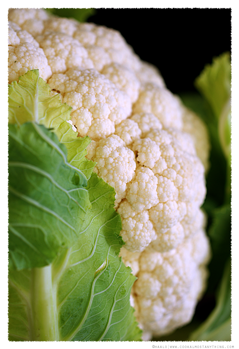 cauliflower© by Haalo
