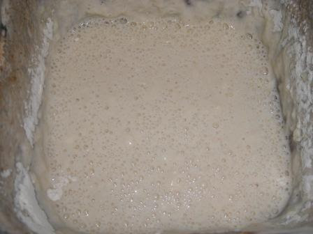 starter_day8fizzy