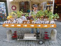Free Image Hosting at www.ImageShack.us