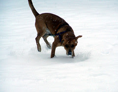 SuperSophie_snow122007