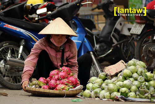 Dragon Fruit