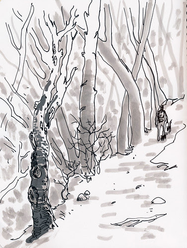 January 2014: Forest Walk by apple-pine