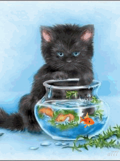 Котька и рыбки