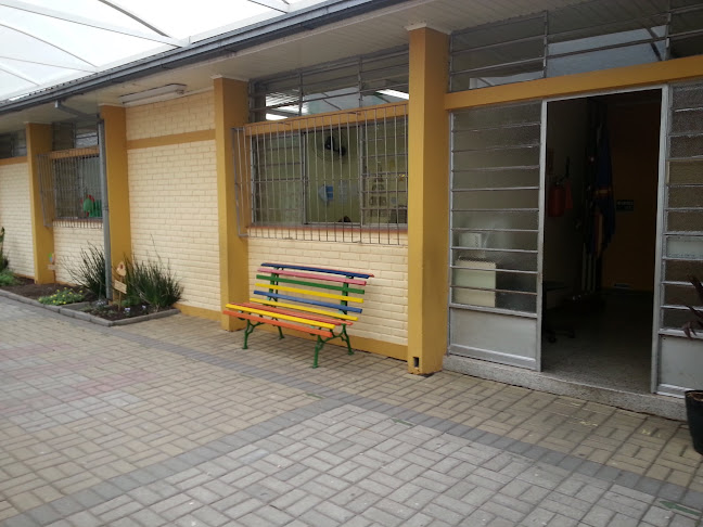 Avaliações sobre Escola Ensino Fundamental Leonor Castellano em Curitiba - Escola