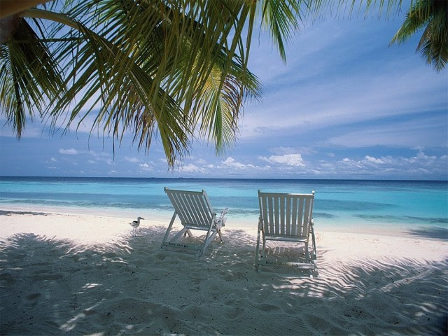 vacation