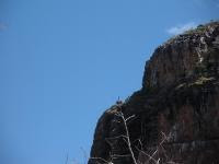Free Image Hosting at www.ImageShack.us