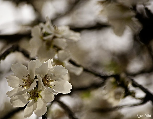 Spring is coming !!!