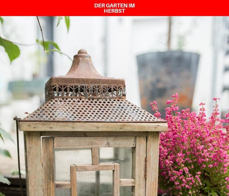 Schatzsuche Im Haus Und Garten