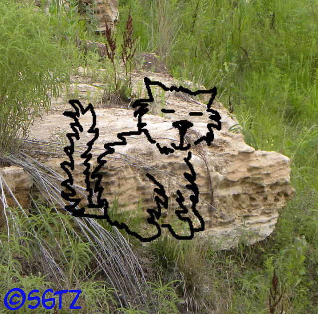 LimestoneKitCat