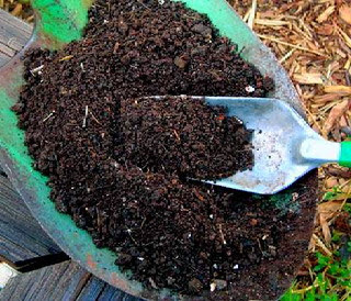 Cara Praktis dalam Membuat Pupuk Kompos dari Sampah Organik