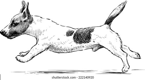 How To Draw A Dog Running Step By Step - bmp-we