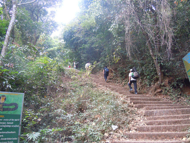 Brahmagiri_Trek_Steps