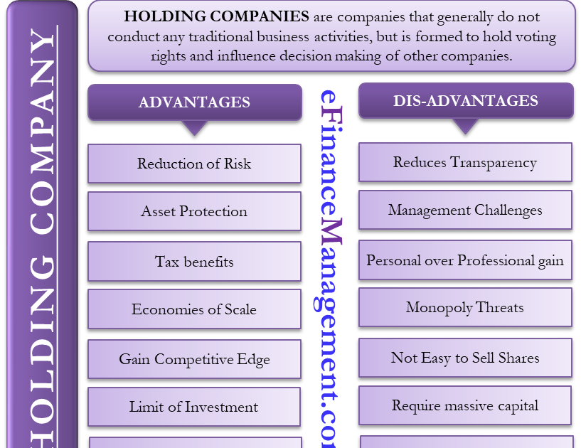 Advantages And Disadvantages Of Business Structure - BSNIES