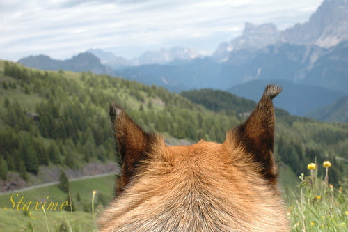 Tosca in montagna