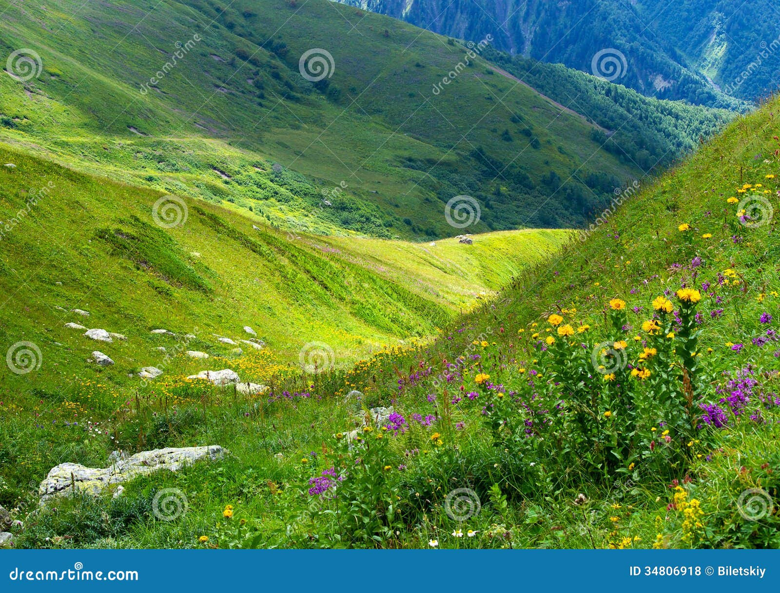 Dream Of Large Valleys Beautiful Mountains Snow Clad Mountains - Happy ...