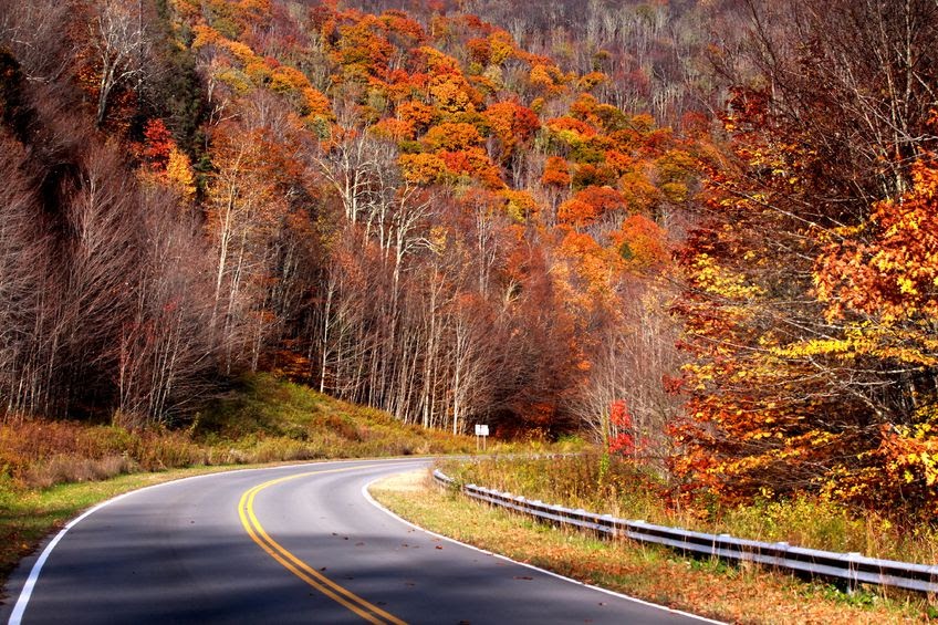 Non Owners Insurance North Carolina / Renters Insurance