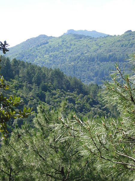 cévennes, foto havang