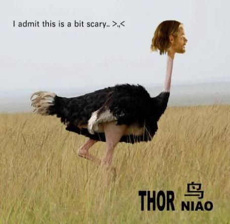 13ThorMemeThor-Niao 13ThorMemeThor-Niao