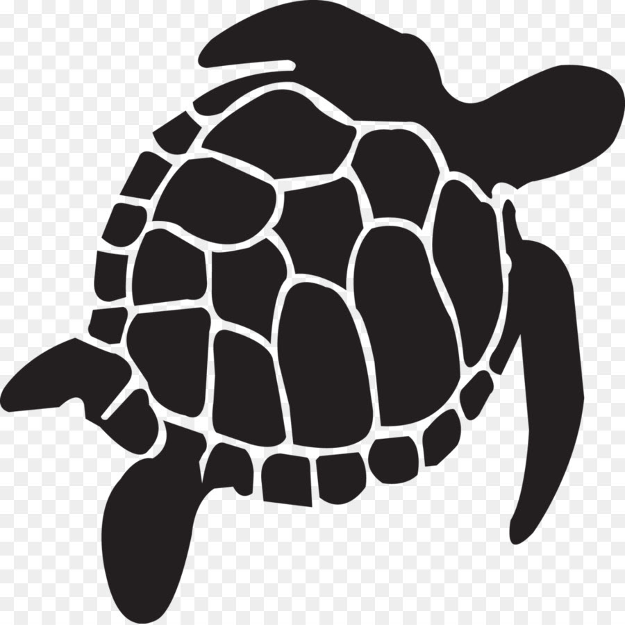 Download 19+ Free Svg Sea Turtle Images Free SVG files | Silhouette ...