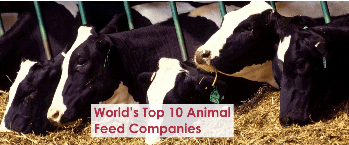 List Of The Important Animal Feeds In Uae - Animal West
