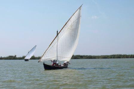 Catarroja acoge el tradicional Concurso de Vela Latina, en el que participarán cerca de cuarenta embarcaciones. Foto: EPDA.