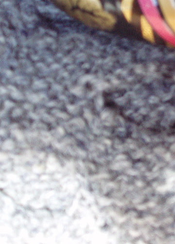 Backtack 2