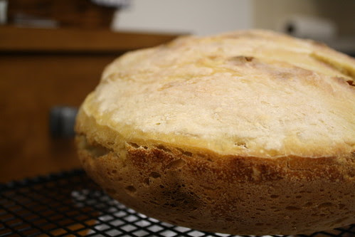 20090426_sourdough_0010