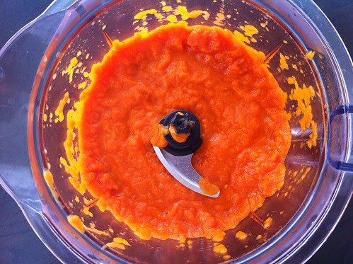Pureed Marinara Sauce