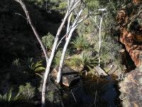 Free Image Hosting at www.ImageShack.us
