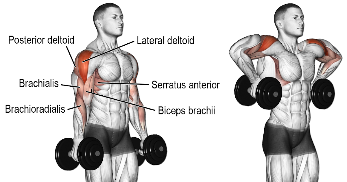 Deltoids Workout With Dumbbells - WorkoutWalls