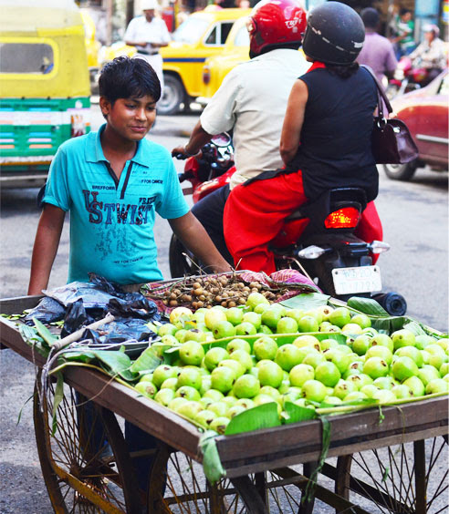 fruits-of-my-labor-meaning-simply-put-fruit-of-our-labour